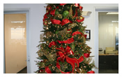 Holiday Interiors | Interior Decorator | Rick Jordan