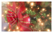Holiday Interiors | Interior Decorator | Rick Jordan