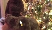 Holiday Interiors | Interior Decorator | Rick Jordan