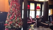 Holiday Interiors | Interior Decorator | Rick Jordan
