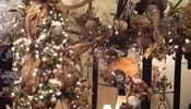 Holiday Interiors | Interior Decorator | Rick Jordan